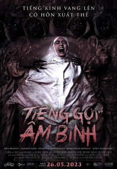 Tiếng Gọi Âm Binh